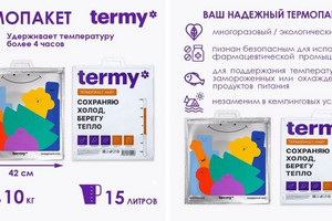 Термопакет с ручками (фольгированный) 42*50см Termy LITE (1/100ящ)